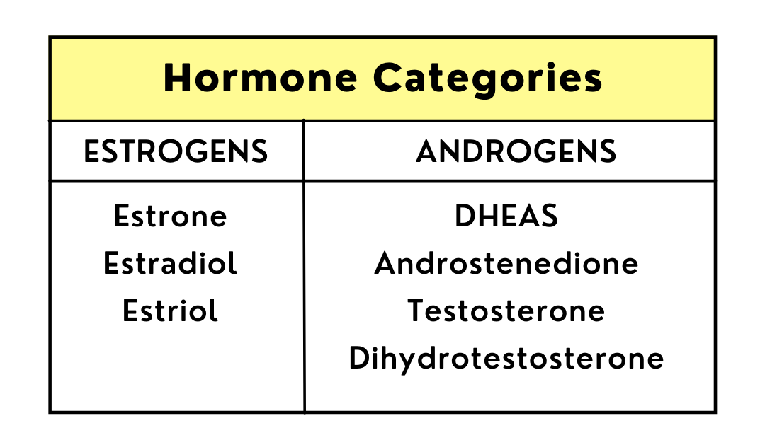 BlogHairLoss(hormonecategories).png
