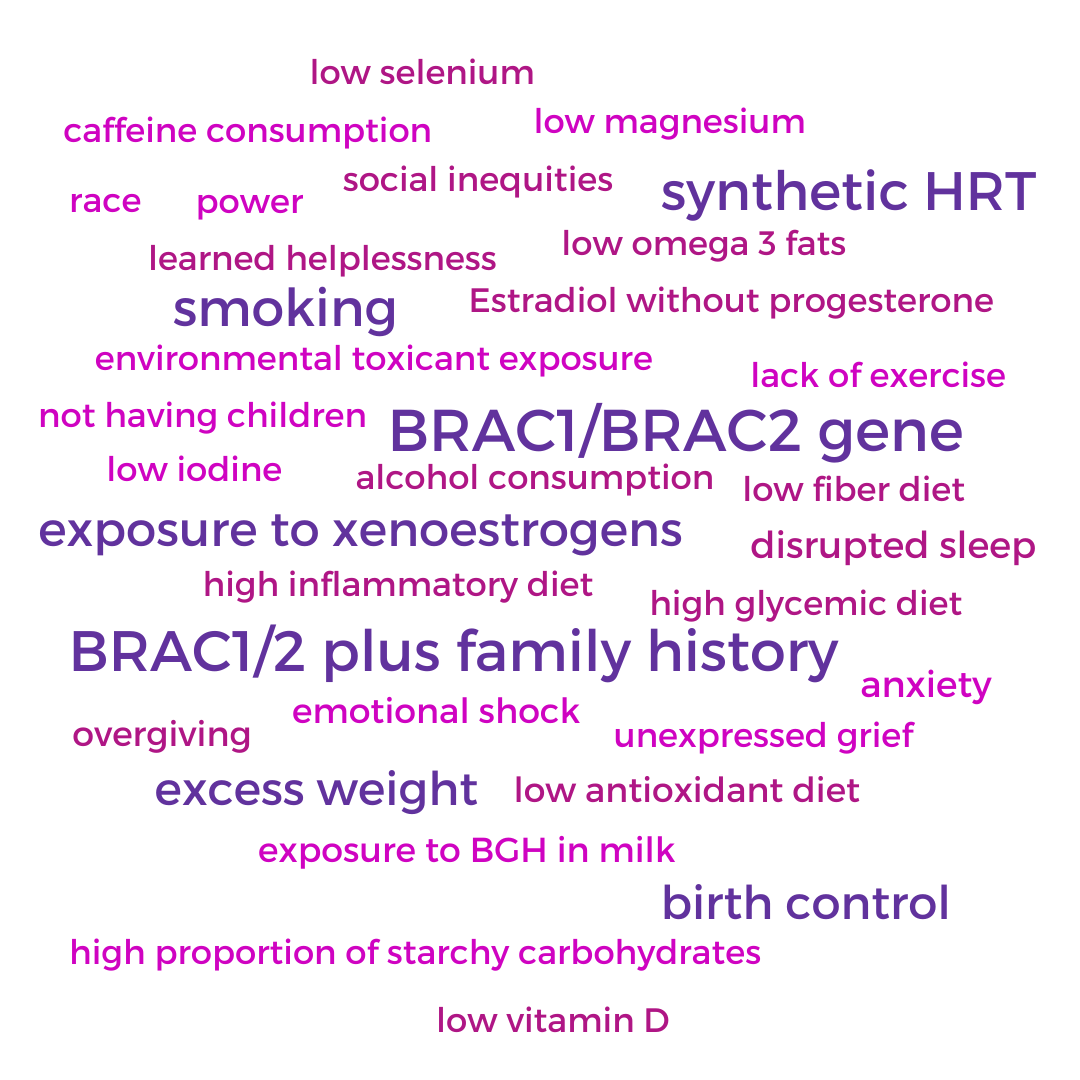 BreastCancerRiskGraphic-wordcloudidea(1).png