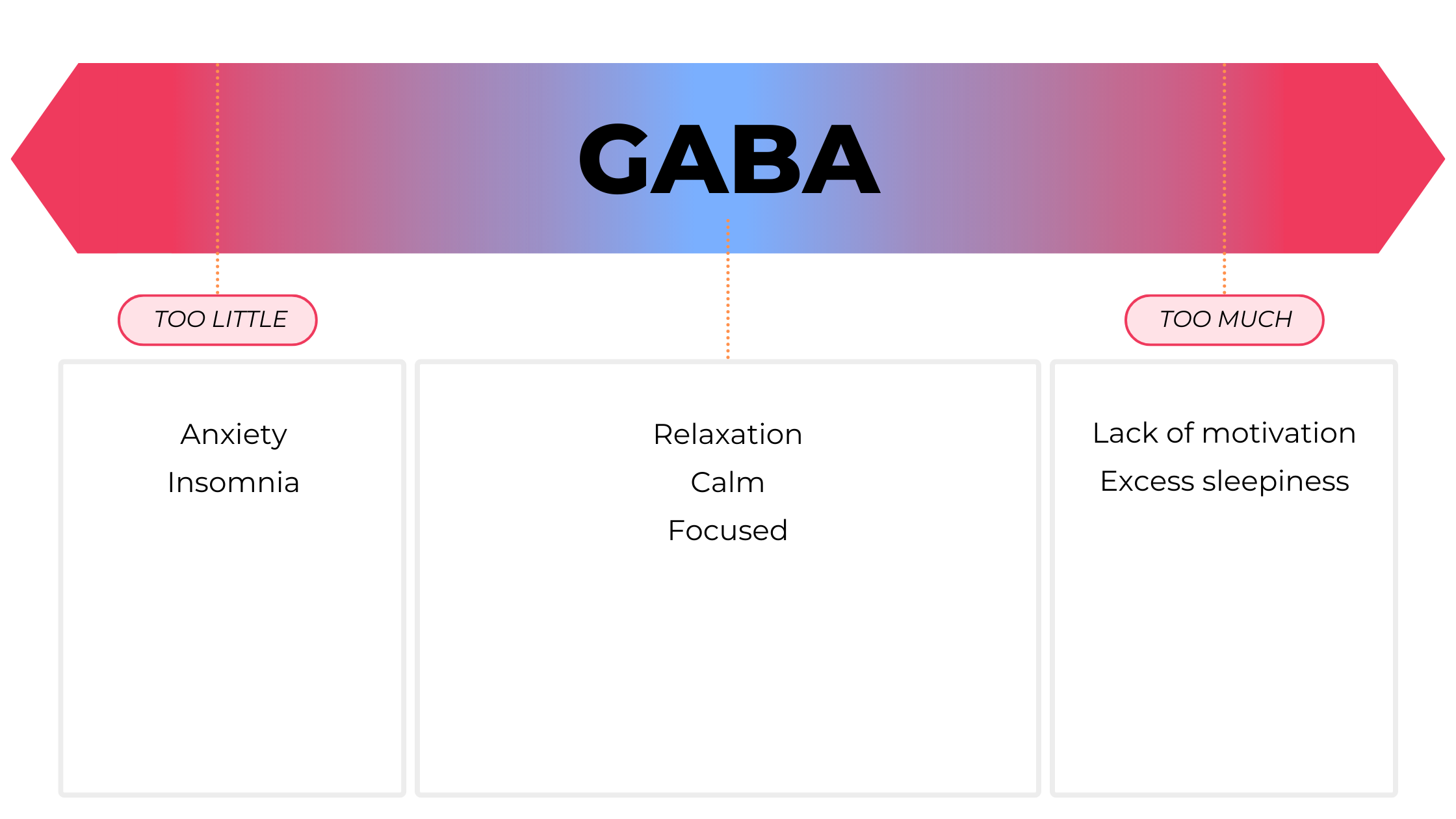 GABA.png