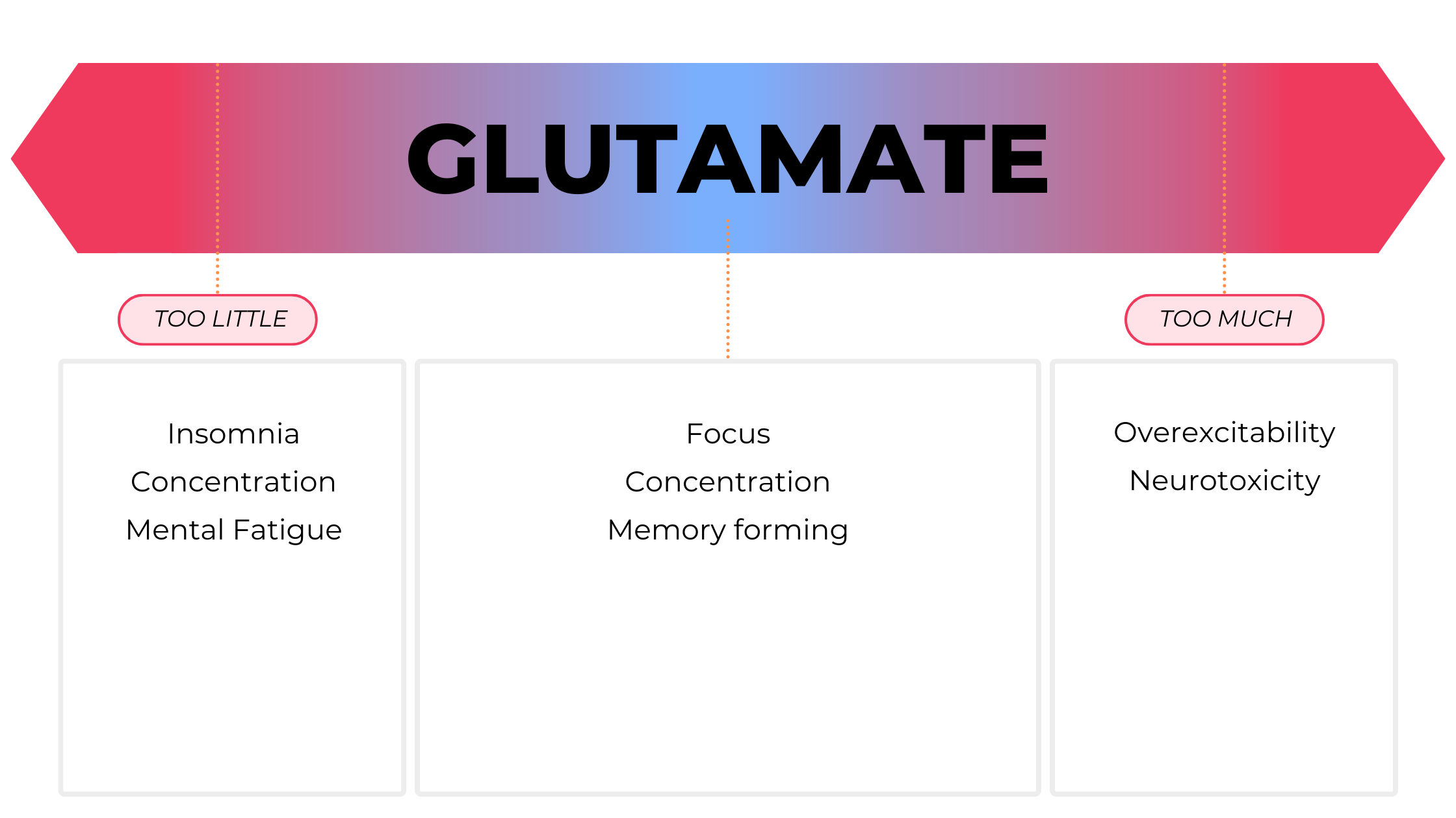 Glutamate.png