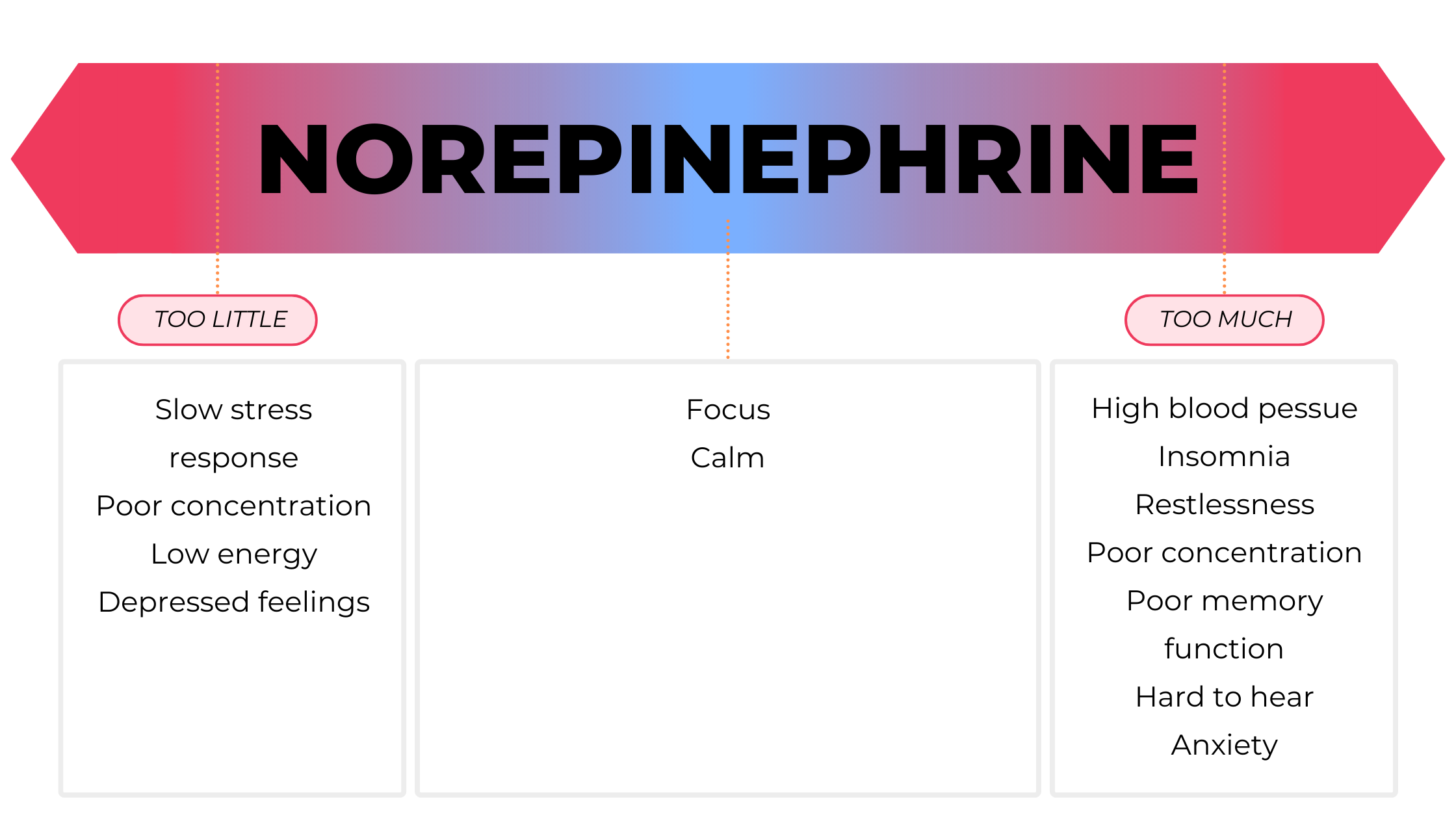 Norepinephrine.png