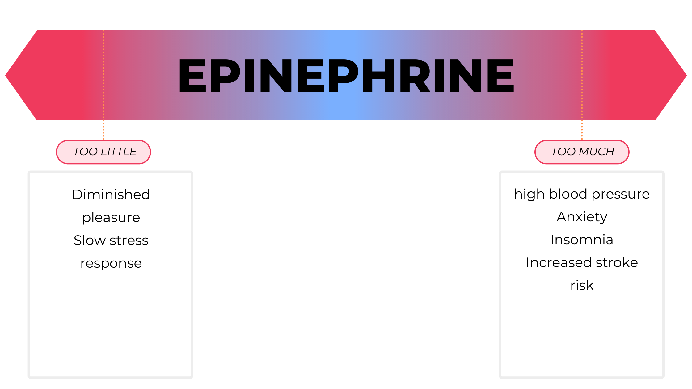 Epinephrine.png