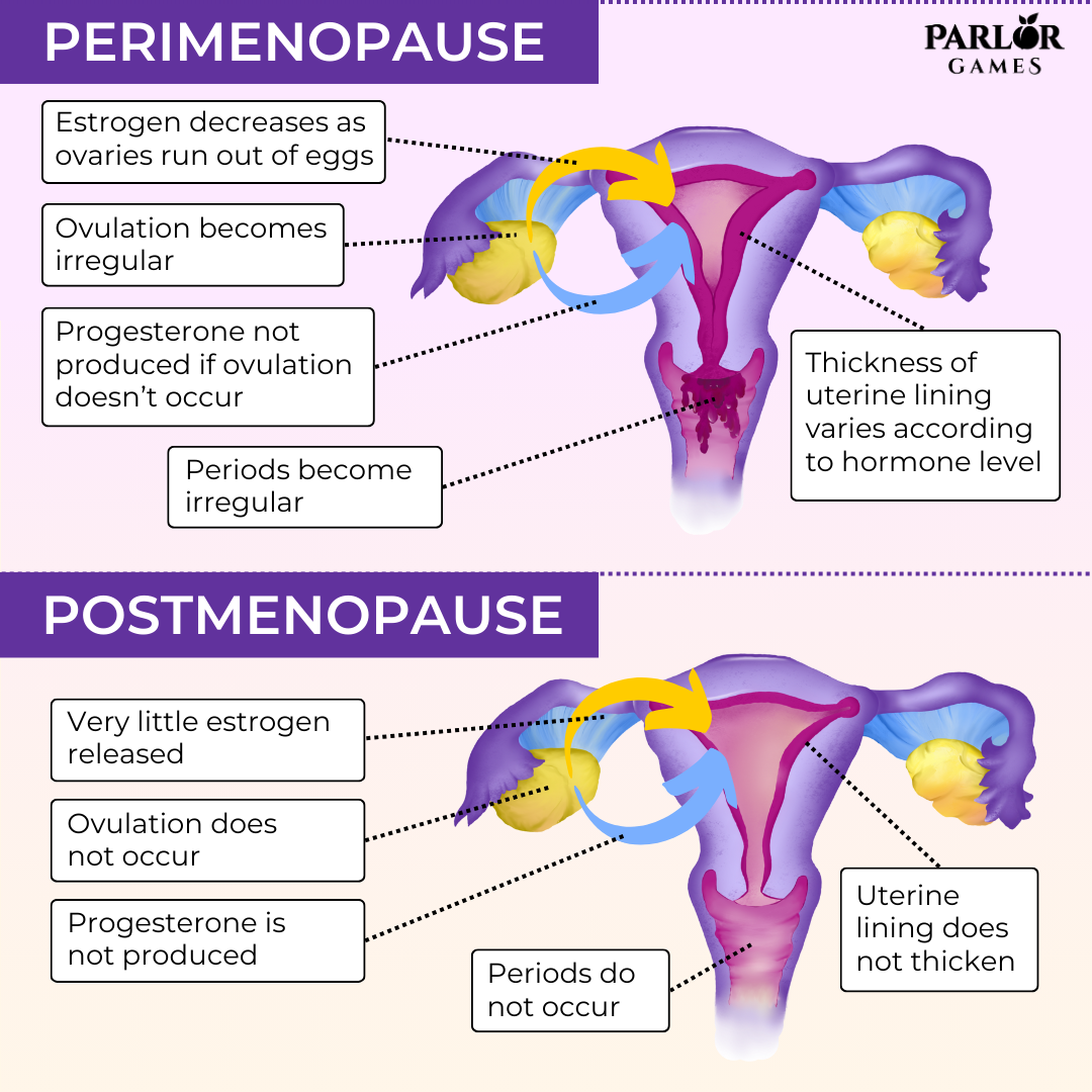 PerimenopausePostmenopause-SEPSEO.png